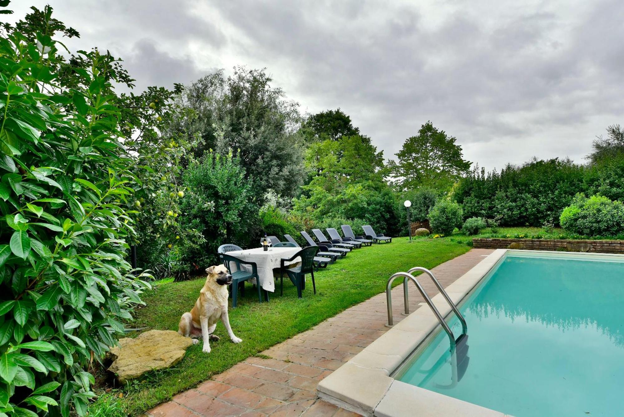 Agriturismo Corvaia Radicofani Εξωτερικό φωτογραφία