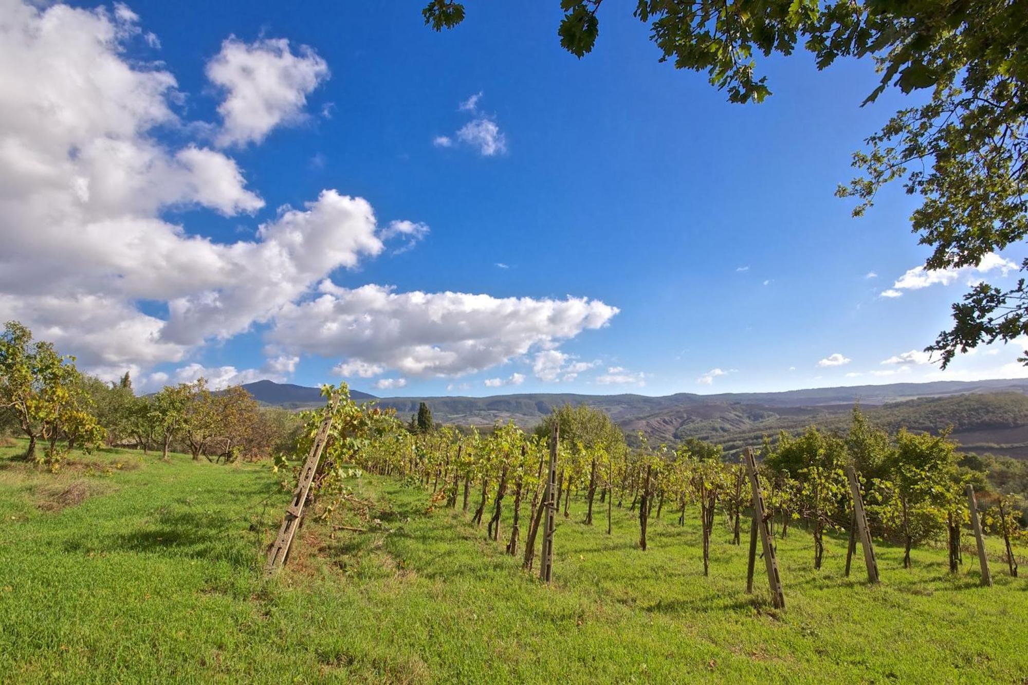Agriturismo Corvaia Radicofani Εξωτερικό φωτογραφία